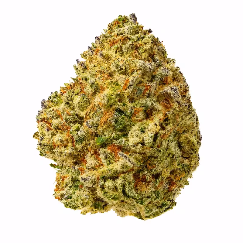 Birthday Cake THCA Flower at 535 Smoke Shop Orlando — legal THC wellness product, no medical card needed — 535 Smoke Shop Orlando, 24/7 smoke shop near me with smoke shop delivery
