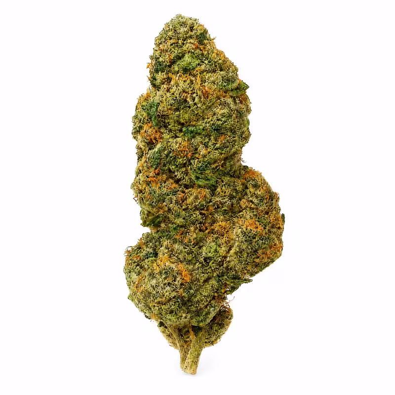Cupid's Kush THCA Flower at 535 Smoke Shop Orlando — legal THC wellness product, no medical card needed — 535 Smoke Shop Orlando, 24/7 smoke shop near me with smoke shop delivery