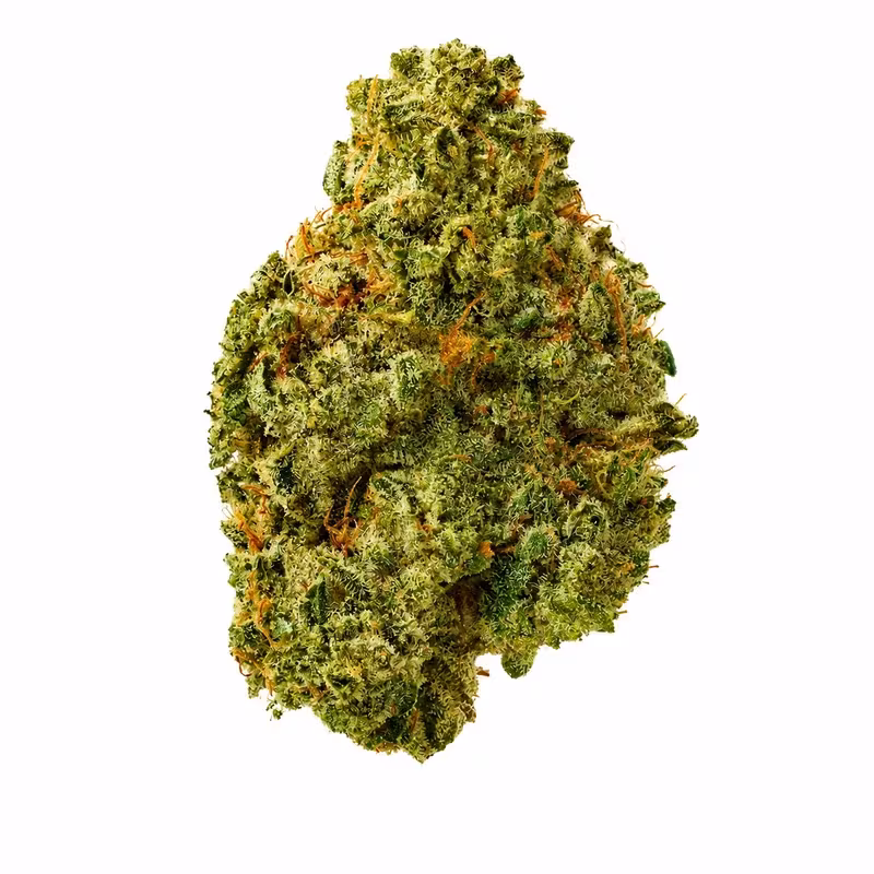 Dark Rainbow THCA Flower at 535 Smoke Shop Orlando — legal THC wellness product, no medical card needed — 535 Smoke Shop Orlando, 24/7 smoke shop near me with smoke shop delivery