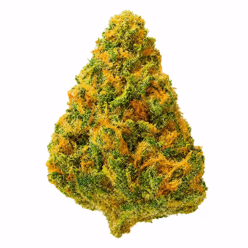 Genius Glow THCA Flower at 535 Smoke Shop Orlando — legal THC wellness product, no medical card needed — 535 Smoke Shop Orlando, 24/7 smoke shop near me with smoke shop delivery