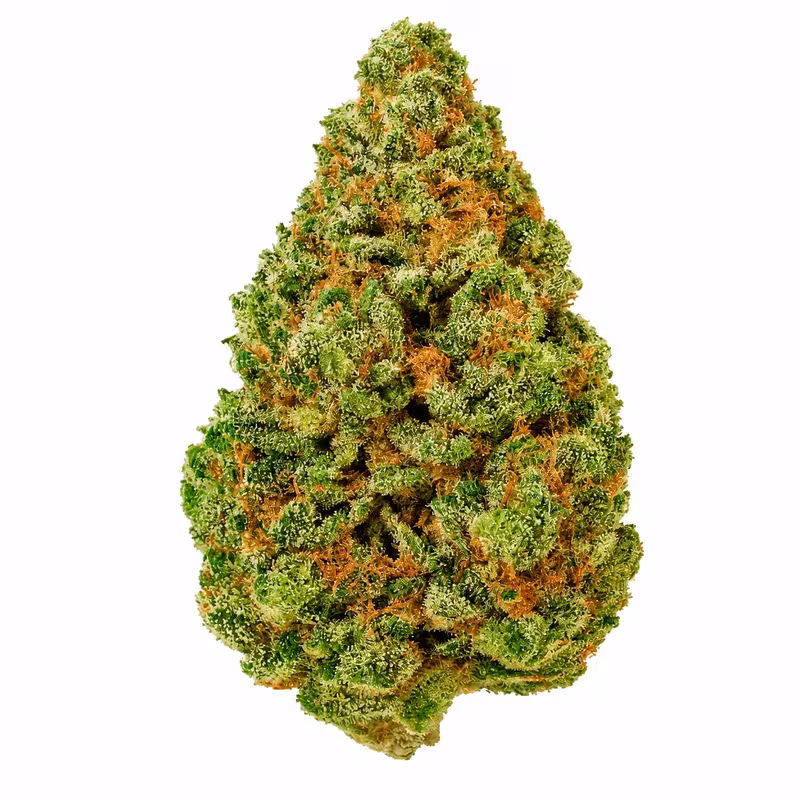 Gush Mintz THCA Flower at 535 Smoke Shop Orlando — legal THC wellness product, no medical card needed — 535 Smoke Shop Orlando, 24/7 smoke shop near me with smoke shop delivery