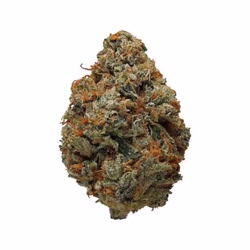 OG Kush THCA Flower at 535 Smoke Shop Orlando — legal THC wellness product, no medical card needed — 535 Smoke Shop Orlando, 24/7 smoke shop near me with smoke shop delivery