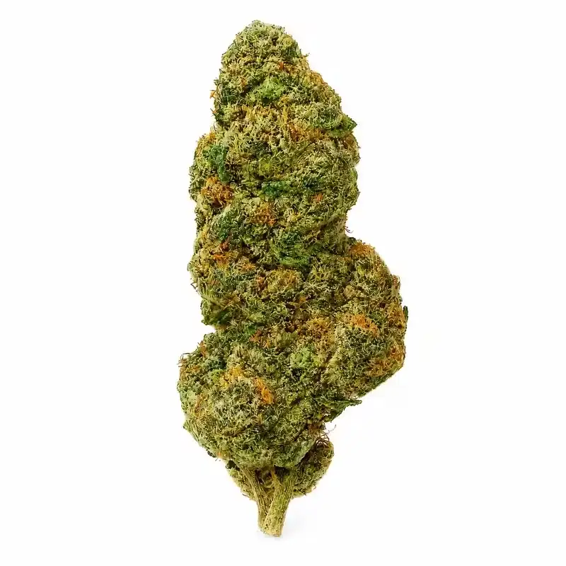 The 407 Spot — Budzburn Cupid's Kush THCA Flower indoor hemp flower.