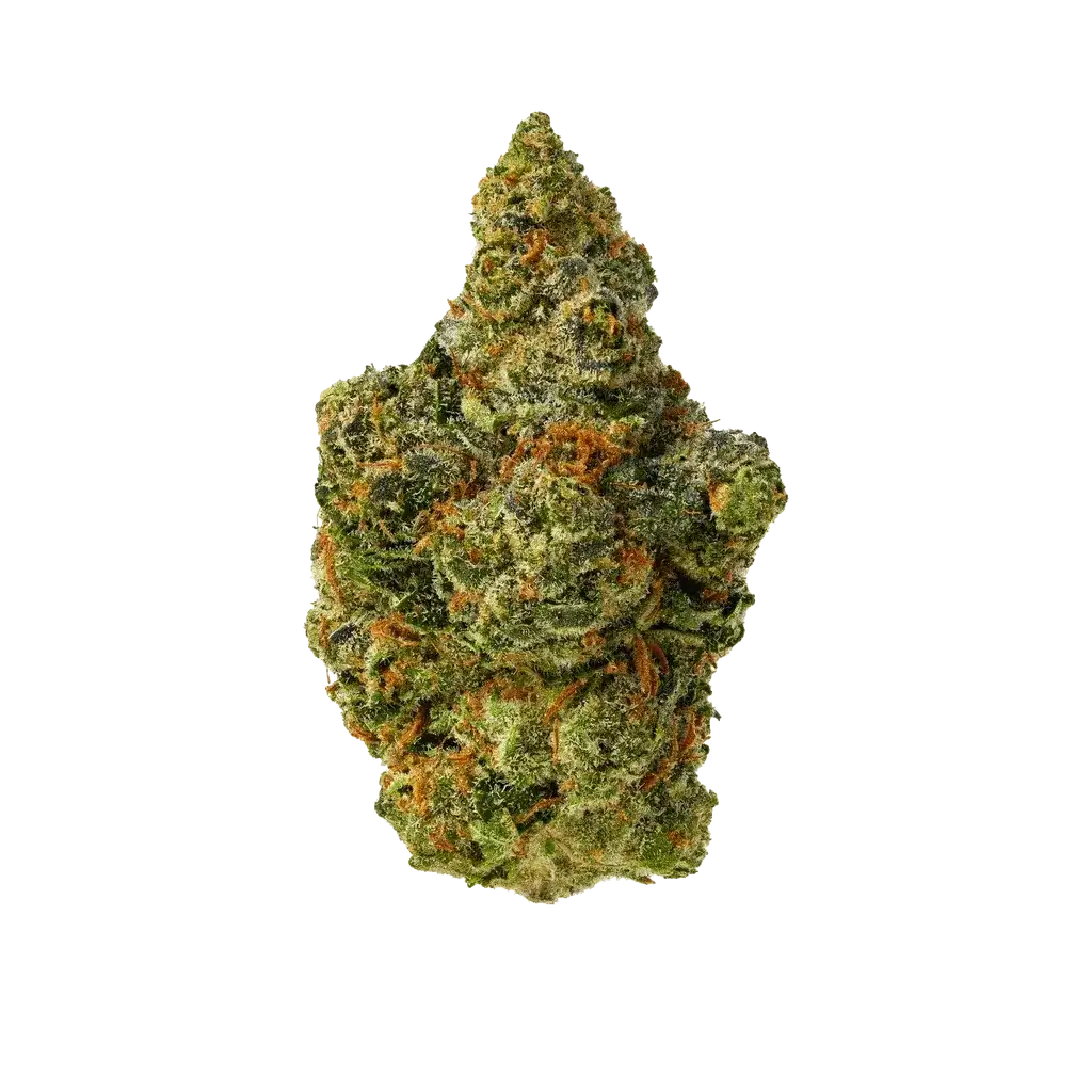 The 407 Spot — Budzburn Gush Mintz THCA Flower indoor hemp flower.