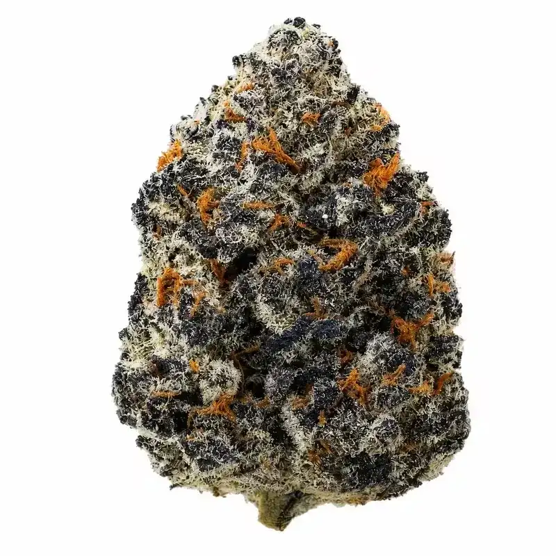 The 407 Spot — Budzburn Oreoz THCA Flower indoor hemp flower.