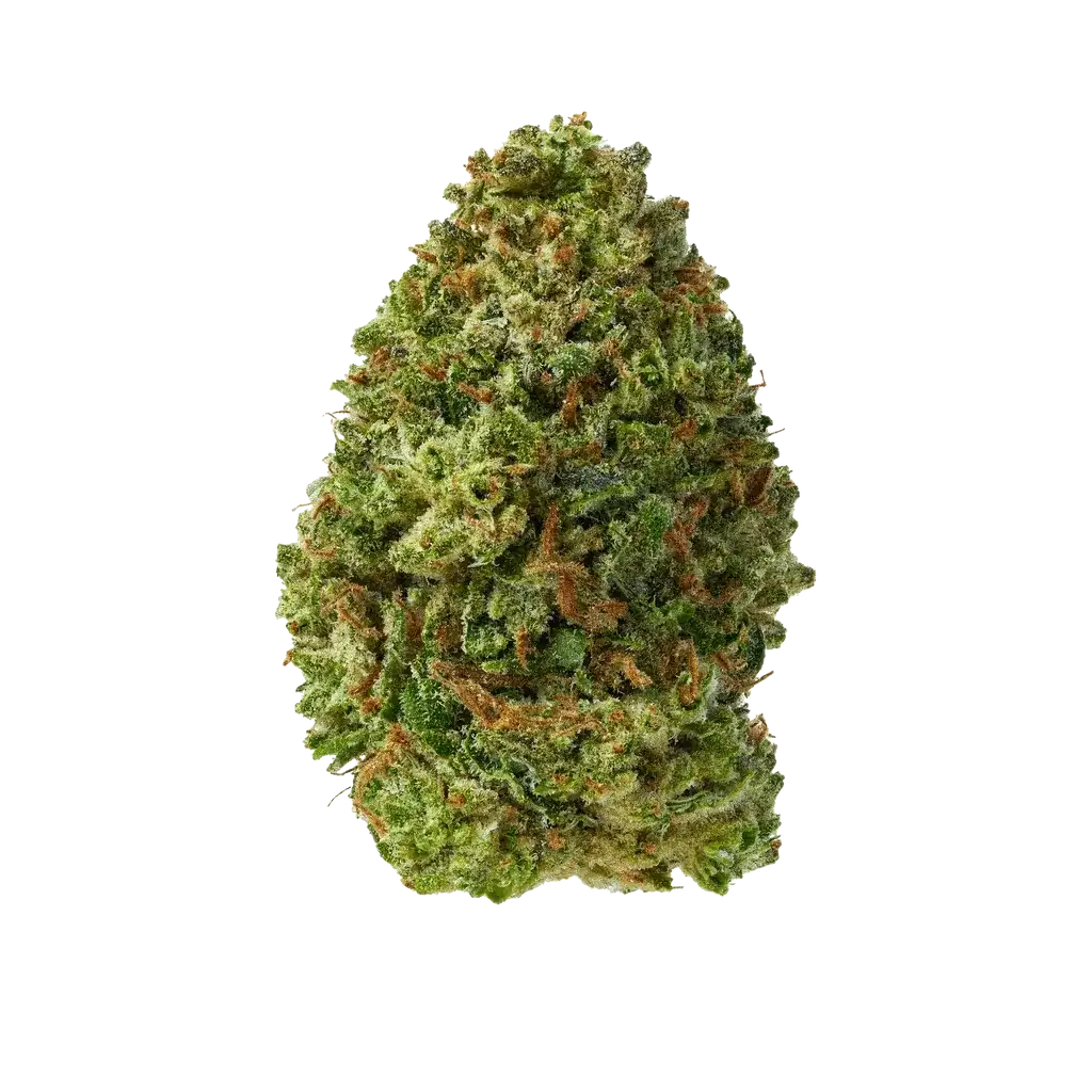 The 407 Spot — Budzburn Runtz THCA Flower indoor hemp flower.