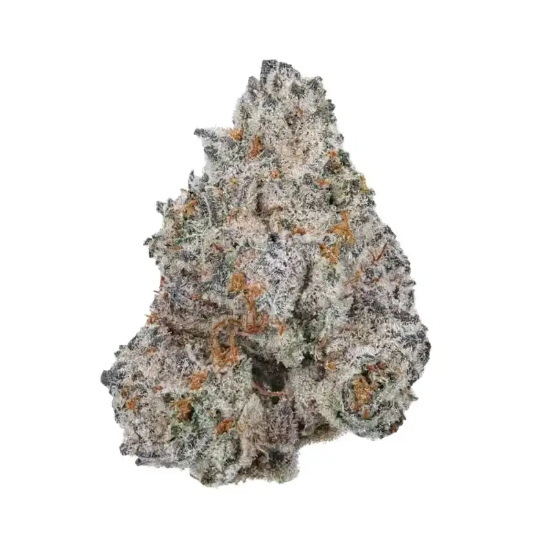 The 407 Spot — Budzburn White Truffle THCA Flower indoor hemp flower.