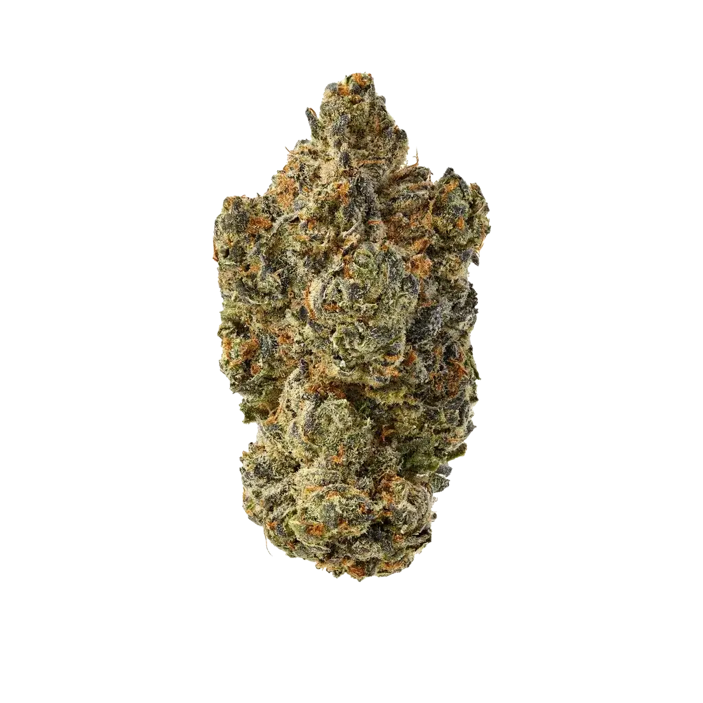 Devil's Mistress Indoor THCA Hemp Flower (25.29% THCA) at The 407 Spot Orlando Smoke Shop