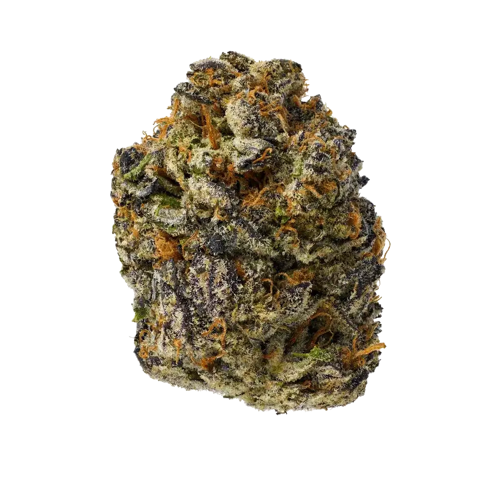 Gary Payton Indoor THCA Hemp Flower (29.60% THCA) at The 407 Spot Orlando Smoke Shop
