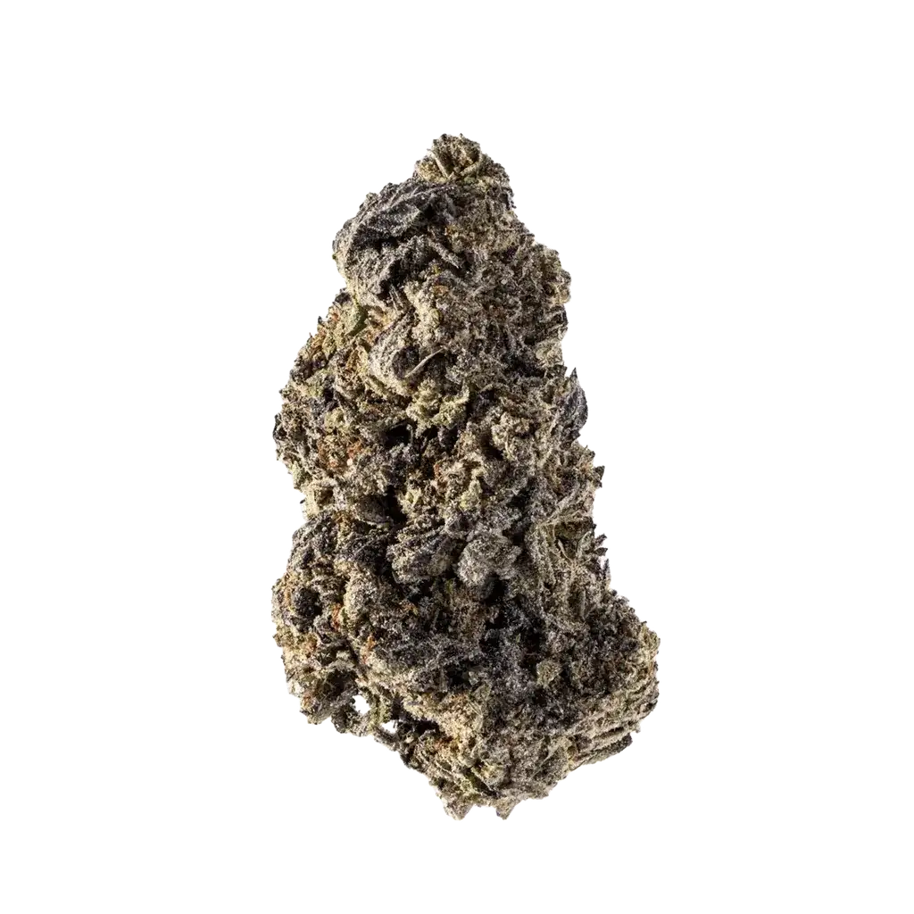 Jealousy Indoor THCA Hemp Flower (20.85% THCA) at The 407 Spot Orlando Smoke Shop