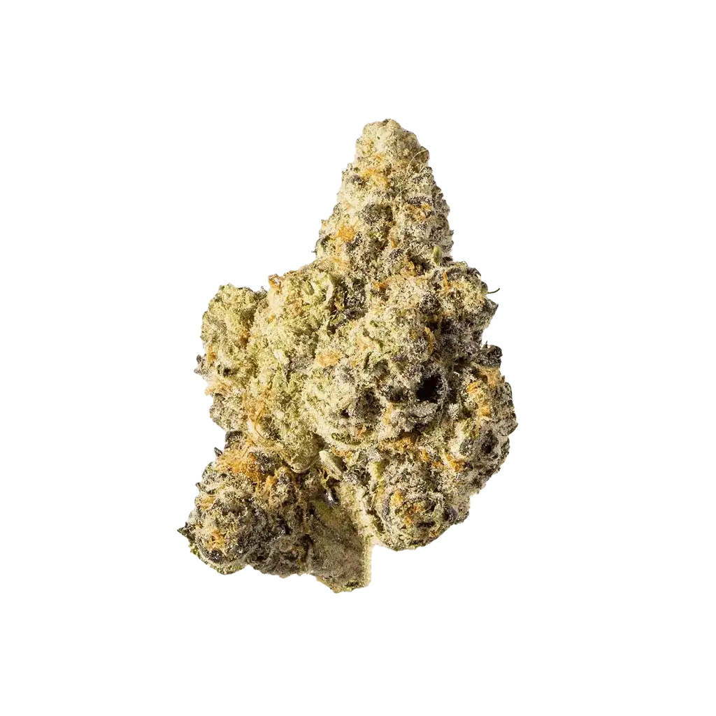 Pink Lemonade Indoor THCA Hemp Flower (20.72% THCA) at The 407 Spot Orlando Smoke Shop