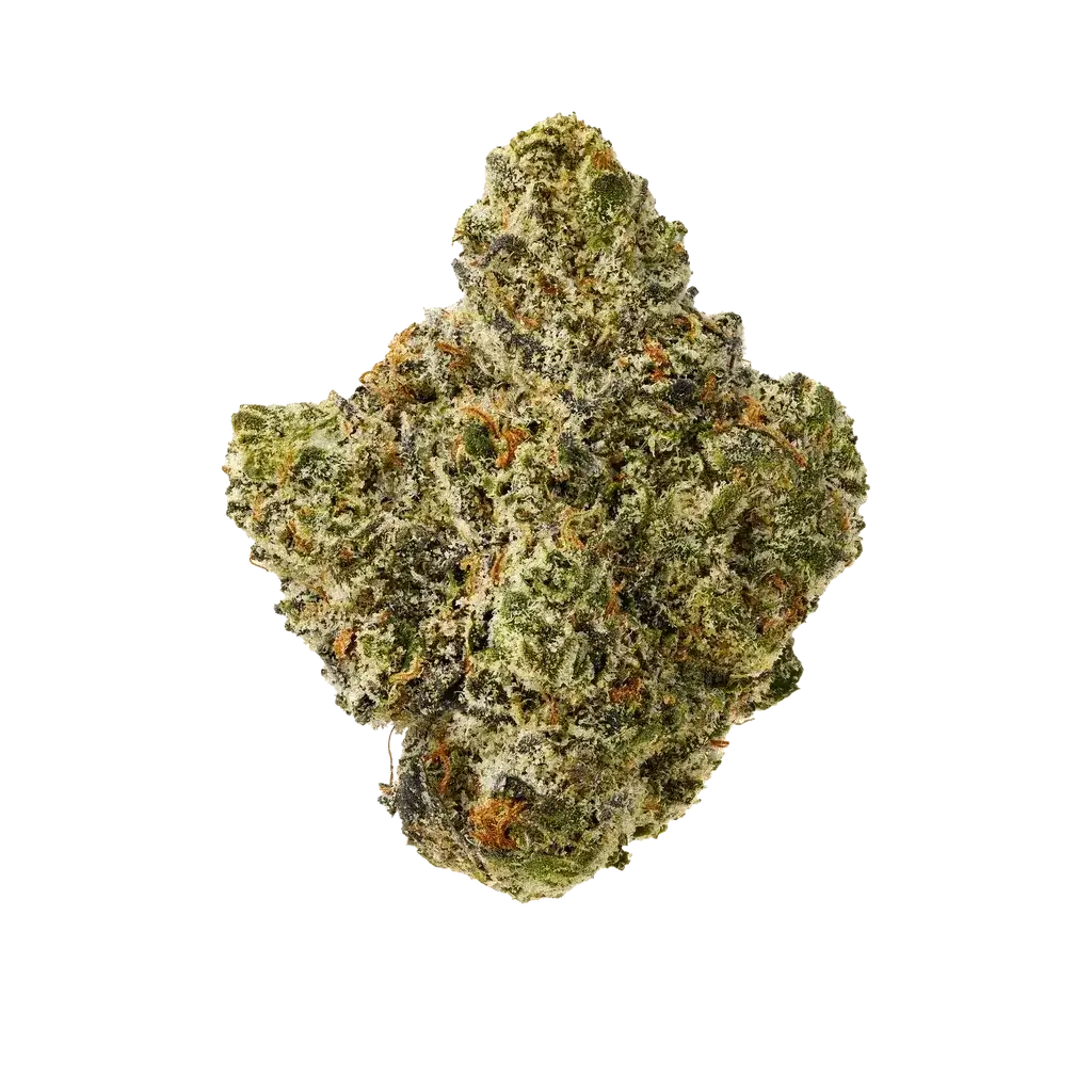 Pluto Indoor THCA Hemp Flower (24.43% THCA) at The 407 Spot Orlando Smoke Shop