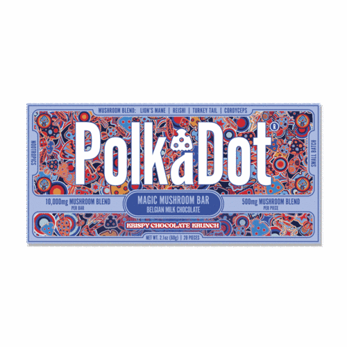The 407 Spot — PolkaDot™ Krispy Chocolate Krunch Chocolate Bar (2.1 oz / 60g) at $40.00.