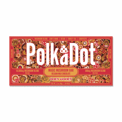 The 407 Spot — PolkaDot™ Ooey Gooey Chocolate Bar (2.1 oz / 60g) at $40.00.