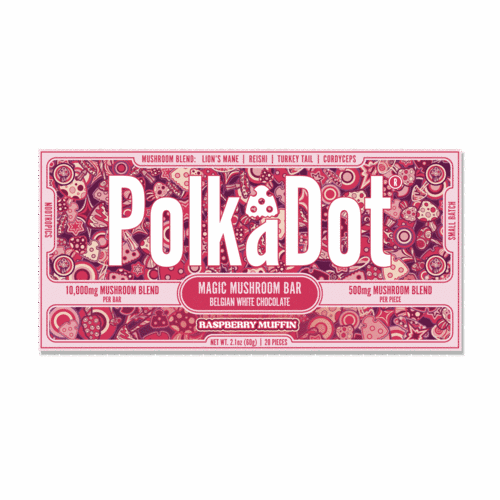 The 407 Spot — PolkaDot™ Raspberry Muffin Chocolate Bar (2.1 oz / 60g) at $40.00.