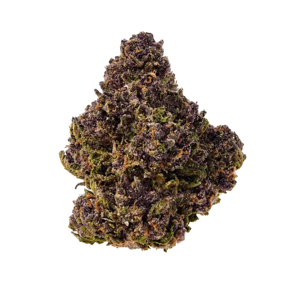 Tropicana Cherry Cookies Indoor THCA Hemp Flower (19.50% THCA) at The 407 Spot Orlando Smoke Shop