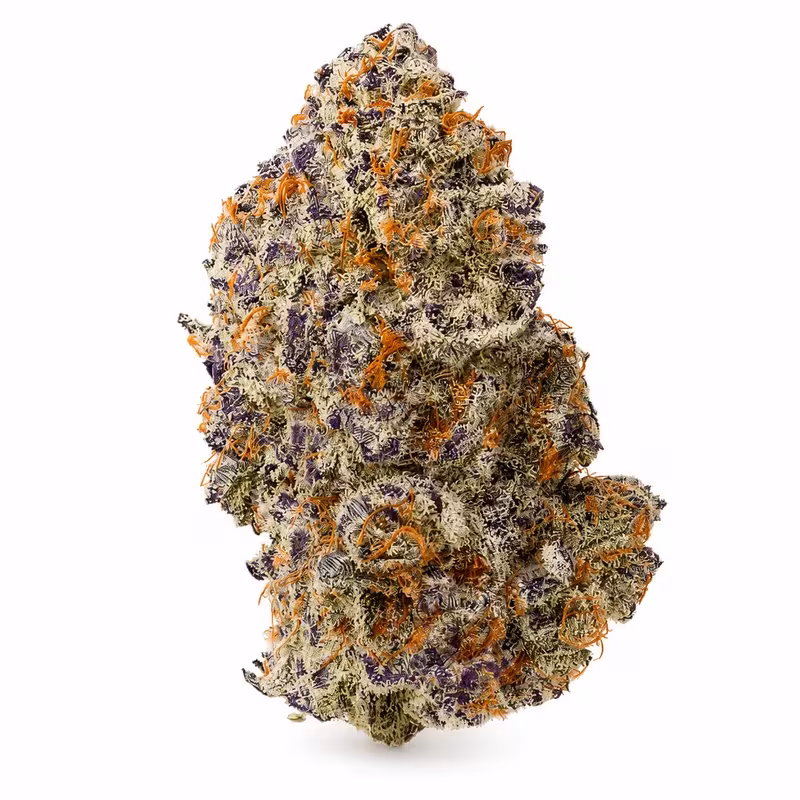 Purple Punch THCA Flower at 535 Smoke Shop Orlando — legal THC wellness product, no medical card needed — 535 Smoke Shop Orlando, 24/7 smoke shop near me with smoke shop delivery