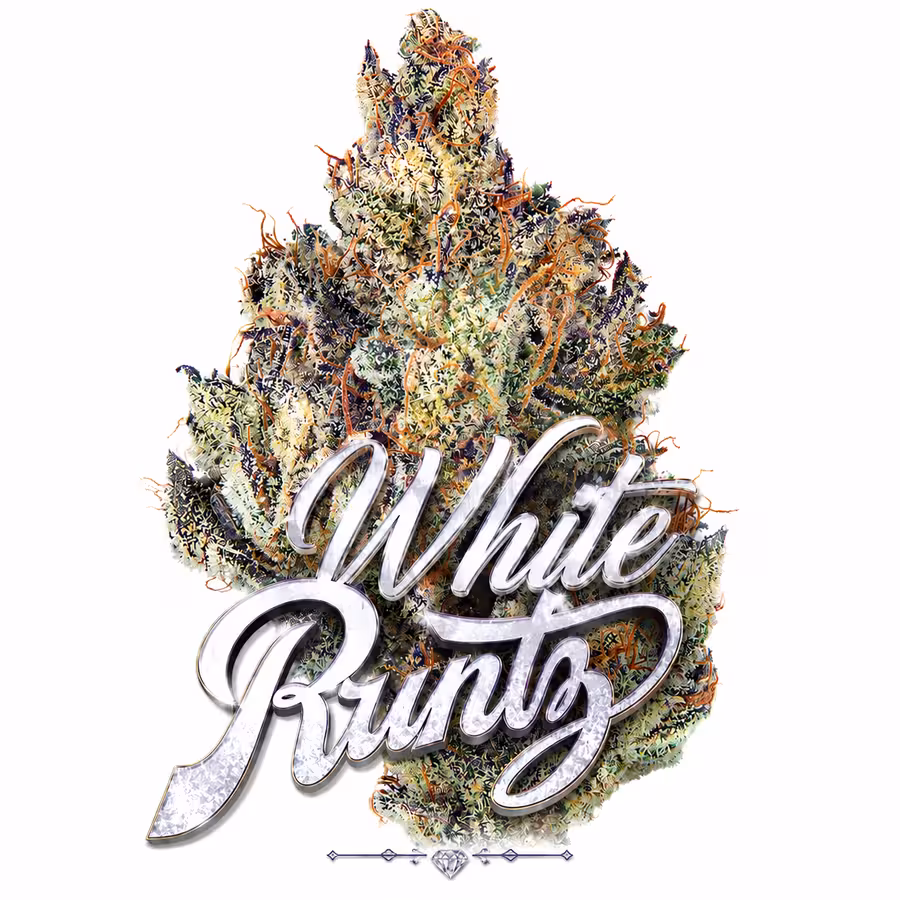 Runtz THCA Flower at 535 Smoke Shop Orlando — legal THC wellness product, no medical card needed — 535 Smoke Shop Orlando, 24/7 smoke shop near me with smoke shop delivery