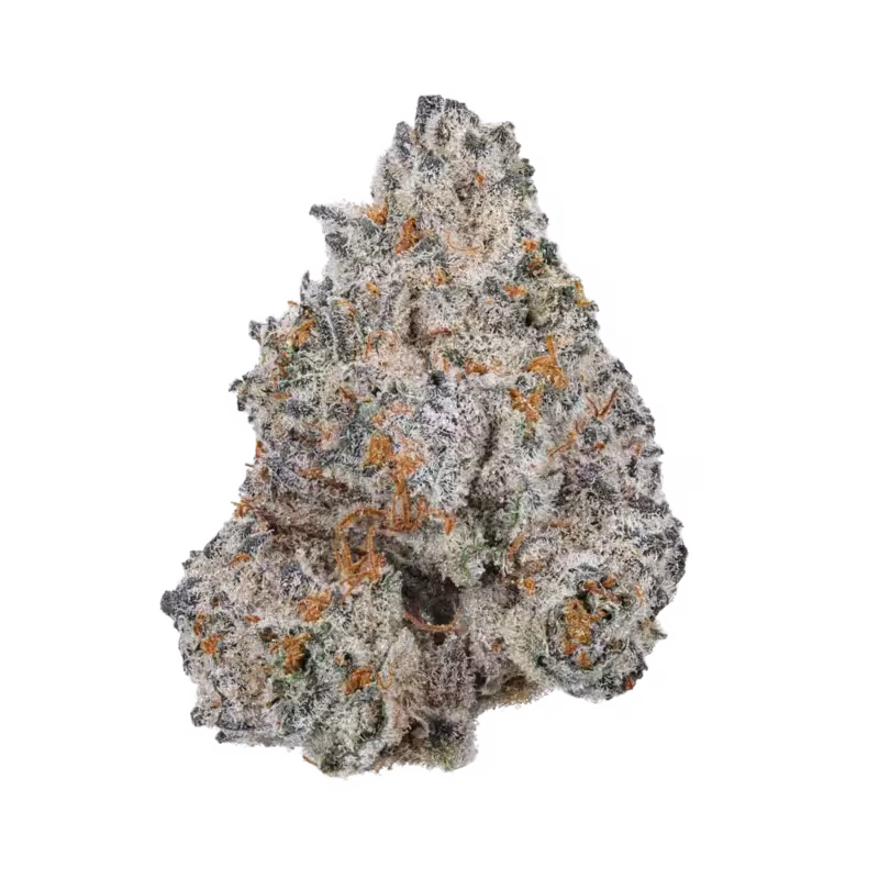 White Truffle THCA Flower at 535 Smoke Shop Orlando — legal THC wellness product, no medical card needed — 535 Smoke Shop Orlando, 24/7 smoke shop near me with smoke shop delivery